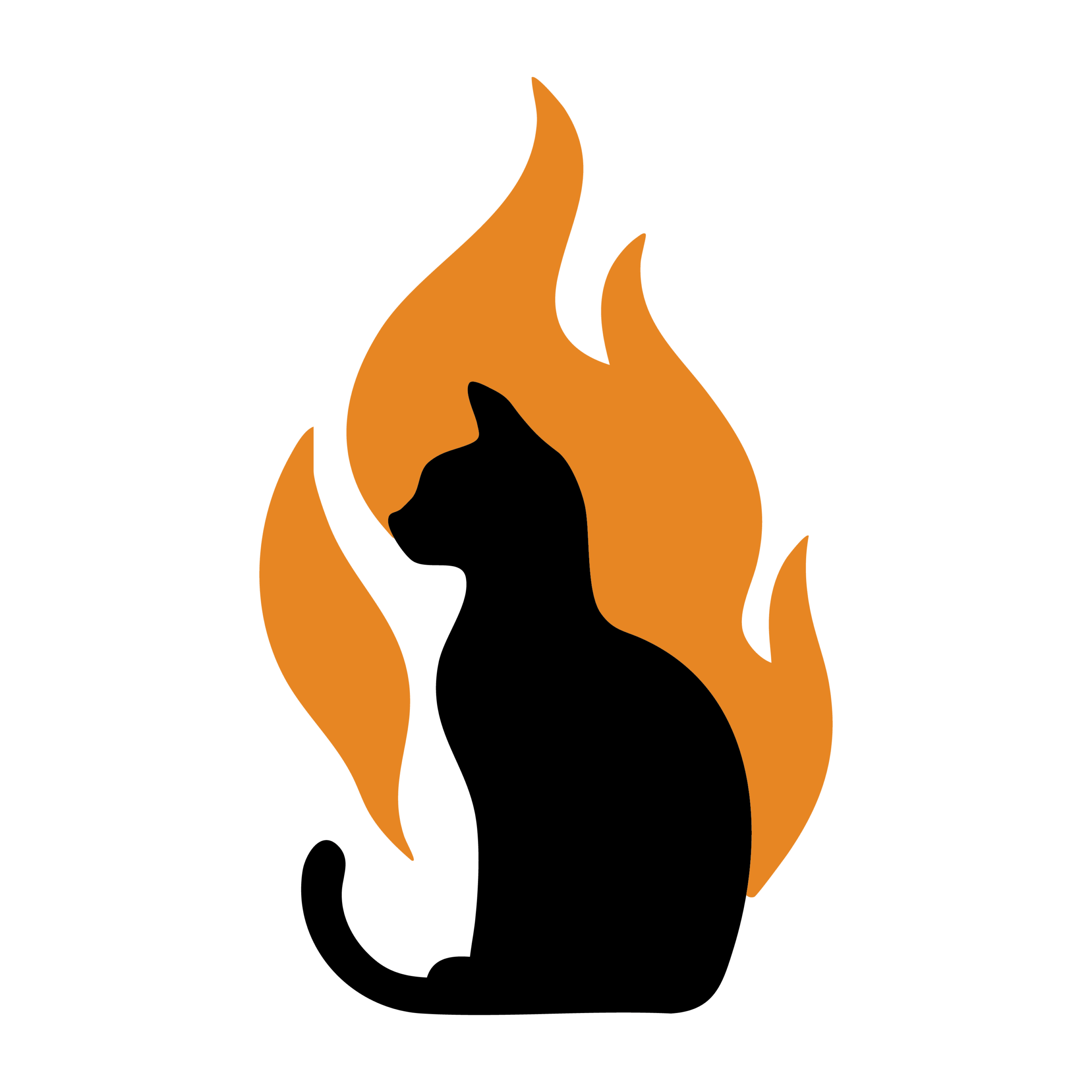 FireSpirit Bengals